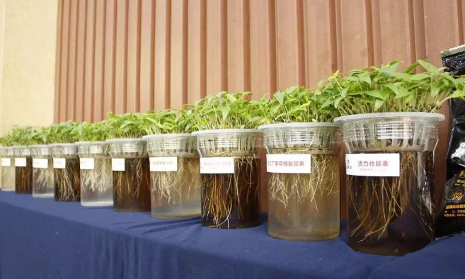 1575248084136135.png image.png