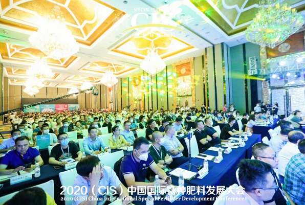 1591683935362536.png image.png