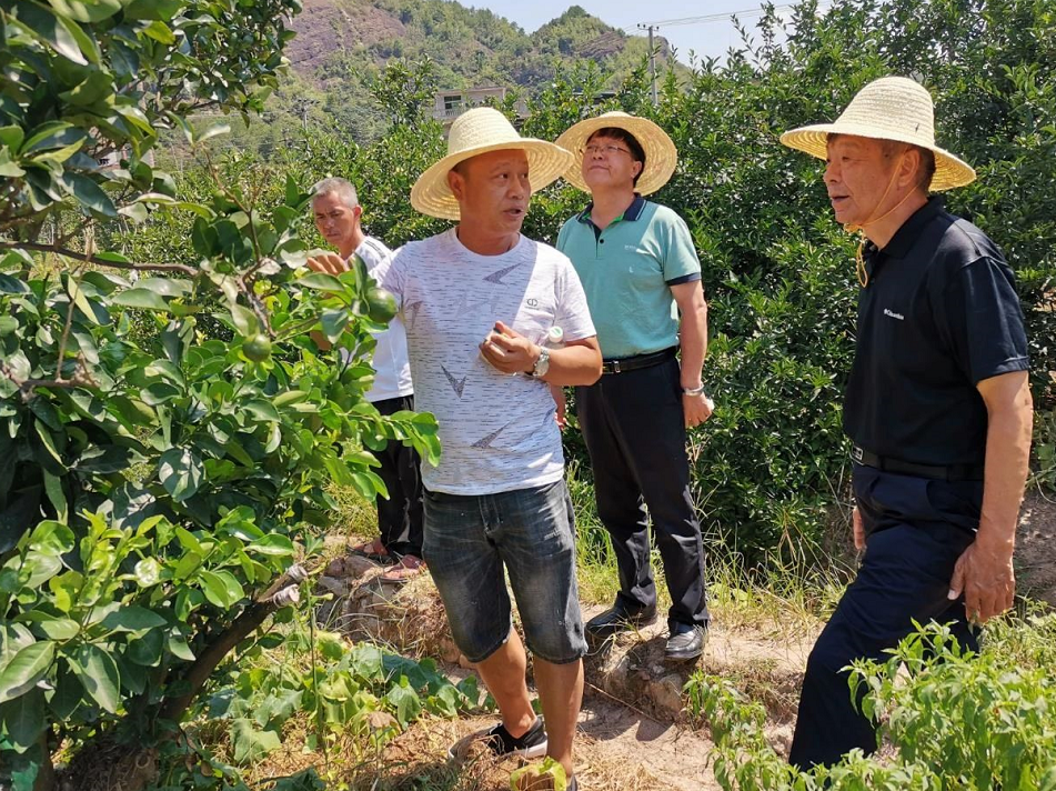 1597976517808226.png image.png