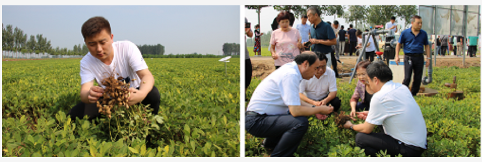 1600043418737116.png image.png