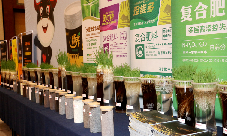 1605505494196674.png image.png