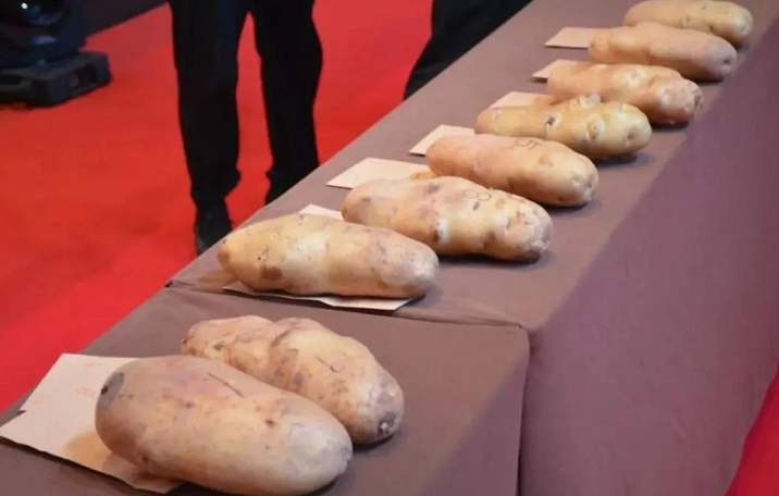 1626143484923351.png image.png