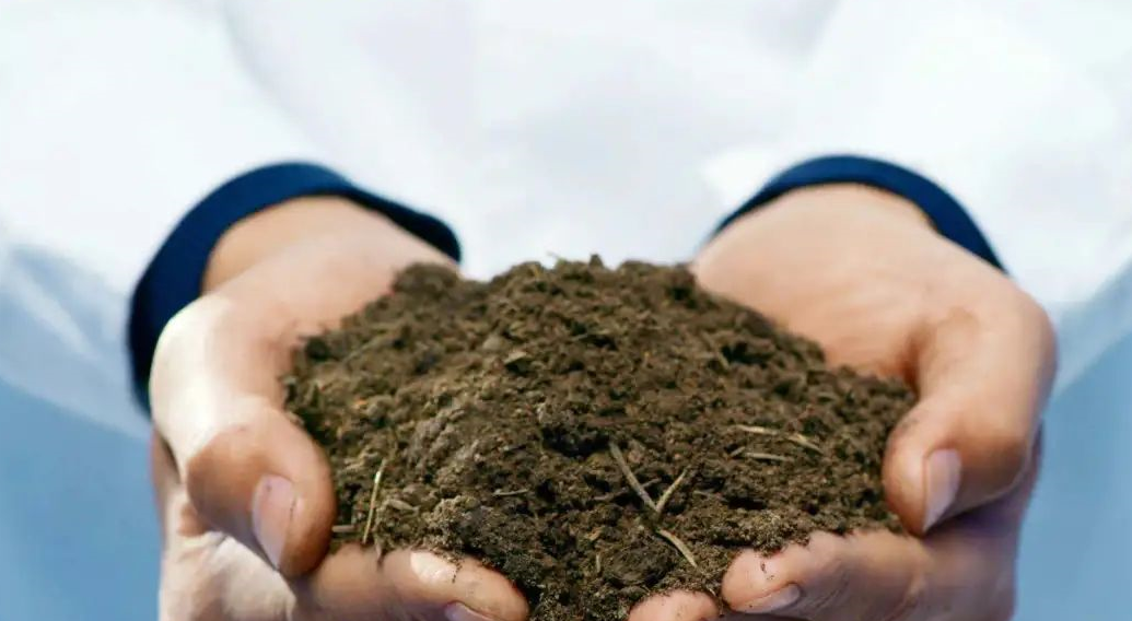 1626144004440316.png image.png